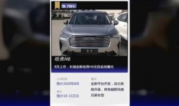 新长城最新爆料视频,揭秘神秘视频背后的惊人真相